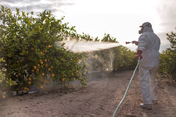 Trusted Northlake, TX Pest Control Experts