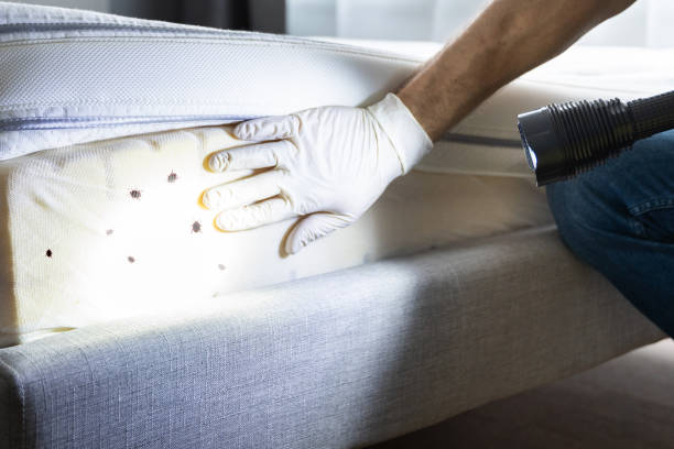Best Exterminator Services  in Northlake, TX